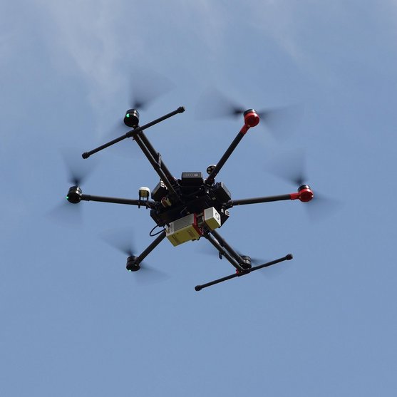<em>RIEGL</em> miniVUX-1UAV