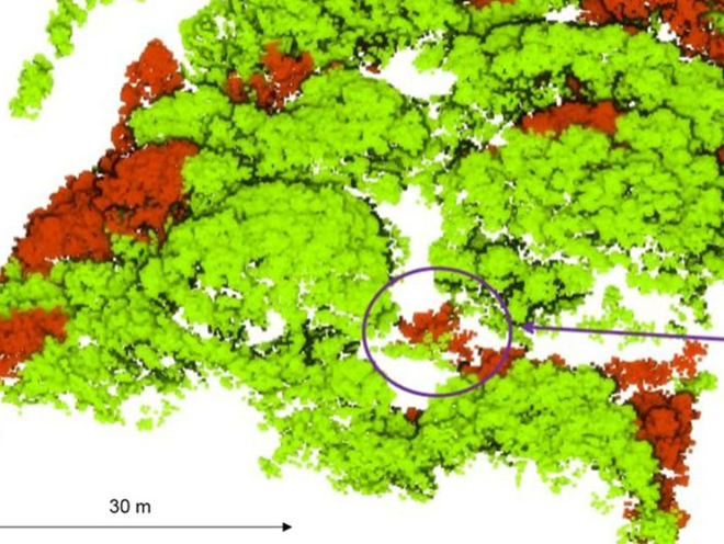 The Use of an Airborne Laser Scanner for Rapid Identification of ...