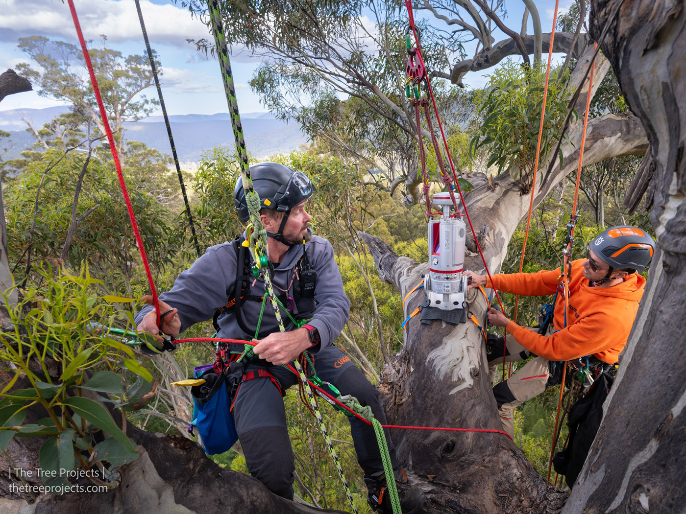 Prof. Kim Calders (Ghent University) and a team from the University of Tasmania and the Tree Projects collected data with a RIEGL VZ-400i at the Lathamus Keep, a Tasmanian Eucalyptus globulus (+80m). Its diameter measured 3m at 8m! 